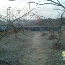 정정농장 이미지