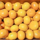 동환농장 이미지