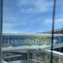 840011 | 인도네시아 코모도섬, Labuan Bajo 여행 준비하기(Ayana Hotel Komodo 공홈 할인코드 및 데이투어 예약 팁)