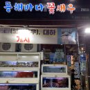 동해바다꽃새우 이미지