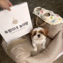 뚜랑이네 놀이방 이미지