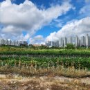 부국공인중개사사무소 이미지