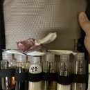 두동슈퍼 | 24.5/25~26 헌터커브타고 모캠 다녀오기(feat.슈퍼커브)