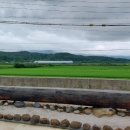솔뫼독채풀빌라 | 경주독채풀빌라 조용하고 힐링하기 좋은 솔뫼독채풀빌라 방문 후기