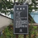 쌍송 이미지
