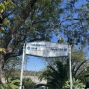 3구장(홈팀) 화장실 | LA다저스 포스트시즌 직관 후기 (NLDS 3차전&amp;4차전 + 프리게임투어💫)