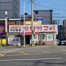 울산갈매기 | 울산 중구 반구동 갈메기구이 내돈내산솔직후기 갈매기 보다 닭목살이 더 괜찮은데요..?