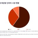 [핵심이슈분석 및 영향주정리] 중국산 인버터 시장 잠식 5가지 경고 신호와 국내 태양광 산업 대응 전략