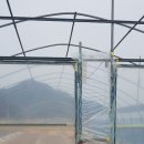 사남우체국 이미지