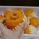 세진농원 이미지