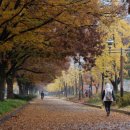사진공원 - 사상구 사상로 208-1 | 사진공원