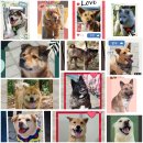 소리천로 이미지