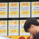 신한공인중개사사무소 이미지