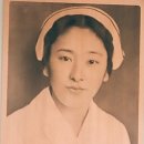 이정애 이미지