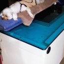 봉곡동물병원 이미지