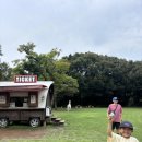 논산가야자연흑염소농장 | 제주도 동물먹이주는 카페 아이랑 꼭 가봐야하는곳 길갈팜랜드