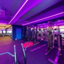 스타 바디핏 이미지