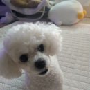 서재노래방 이미지