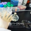 와이디솔루션 이미지
