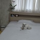 개시는 꼭 크로이가합니다 ㅋㅋ 이미지