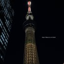 Dream tree | 일본 도쿄 스카이트리 전망대 크리스마스 티켓 입장권 야경 후기