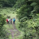 제주시크릿가든 이미지