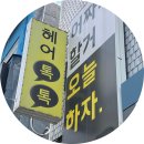 헤어톡톡 - 유성구 | 건대 헤어톡톡 C컬펌 찐 후기(가성비 굿)