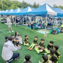 건영스포츠 이미지