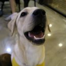 포포앤미루 강동점 이미지