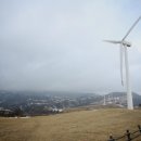 건지목장 이미지