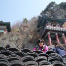 (주)희망조경 이미지