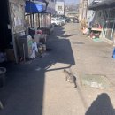 강동로5-38 이미지