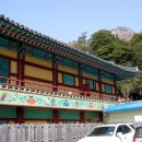 박은영농장 이미지