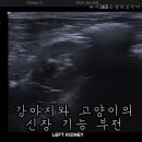 파주365동물의료센터 이미지