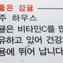 양지청과 이미지