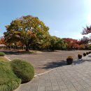 가을 나들이 동래 안락동 충렬사 가을 단풍 풍경 ＜삼성폰촬영＞ 1 이미지