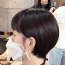 바비하우스 이미지