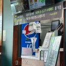 프랭크버거 동해쇄운점 | 동해시 수제 햄버거맛집 프랭크버거 쇄운점 방문하였습니다.