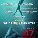 C.E.O.DIVING 이미지