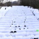 용흥사진입로 이미지