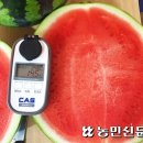 조은에스앤티 이미지