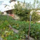 포천영북301 이미지