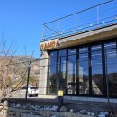 양평 한화리조트 | 양평 애견 동반 카페 <담다> 애견 놀이터 이용 후기