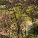 일기로 배우는 역사 이미지