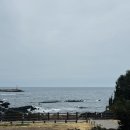 카페 소은 26년1월 제주도 5박6일 여행 5탄(<b>소은</b>이네뼈감자탕,니모메,제주공항)