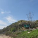 덕천면사무소 이미지