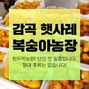 아도농장 이미지