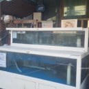 박쏘가리 | 단양 맛집:: 단양 시내 구경시장 근처 매운탕 떡갈비 맛집 &#39;박쏘가리&#39;