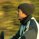 숲속보는방 이미지