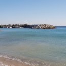 로또 행정사 사무소 이미지